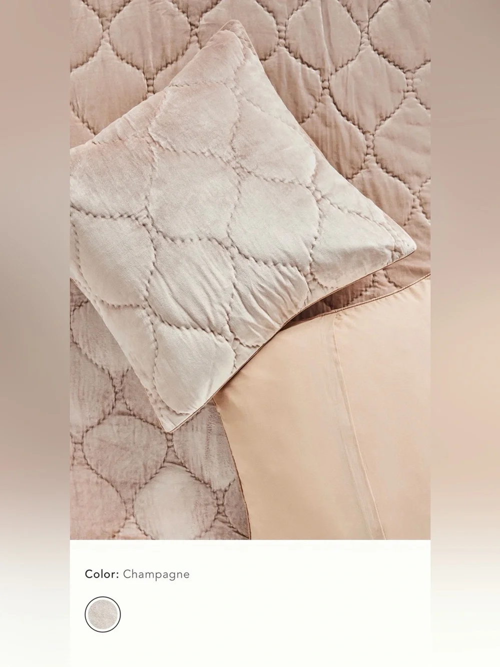 New anthropologie Claire cotton velvet satin euro sham champagne beige 26 x 26